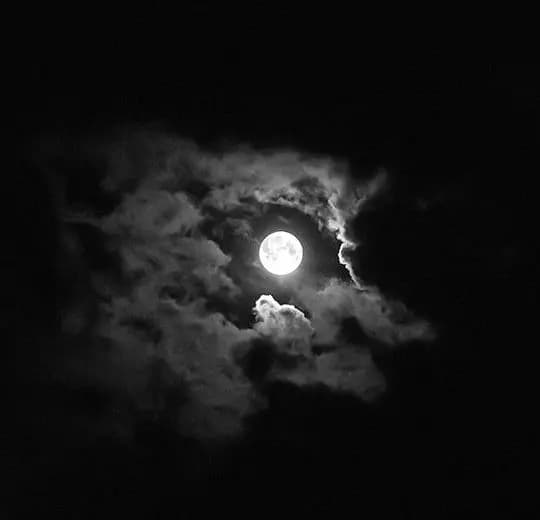 Луна как регулятор дня